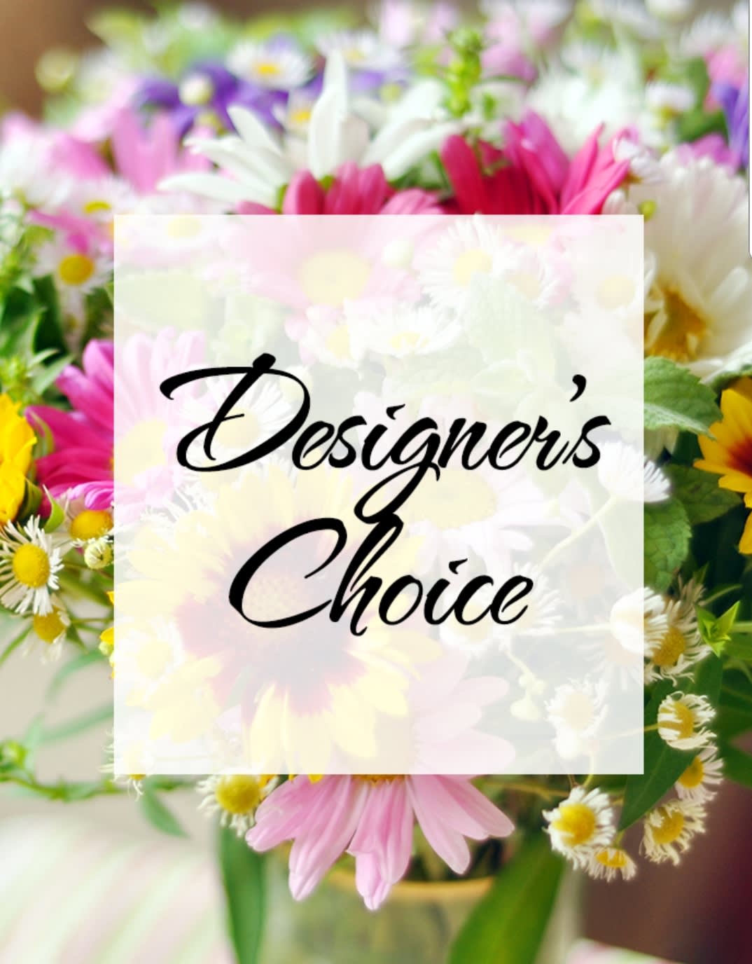 Designer's Choice